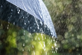 Voorbeeld subsidiereglement waterpreventieve maatregelen
