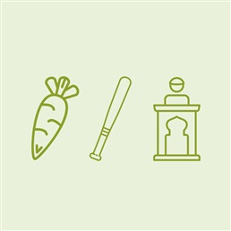 De juiste beleidsmix: minder wortel, meer stok en preek?