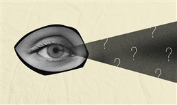 De waarneming bij de financieel directeur