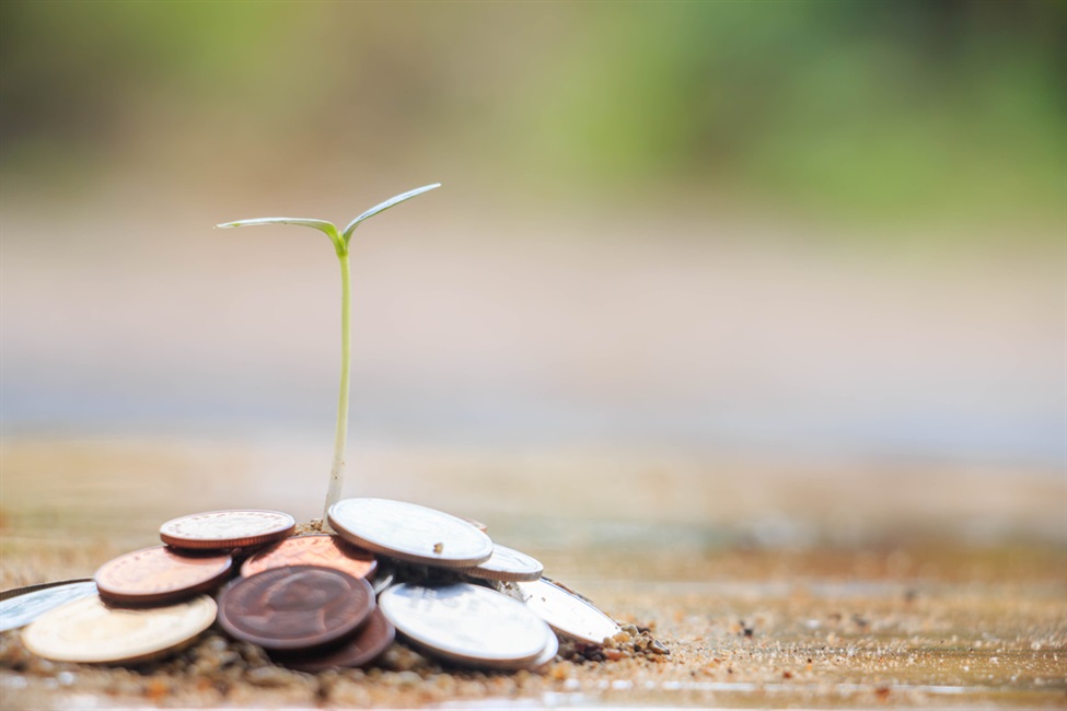 Uitgaande subsidies van lokale besturen - een analyse