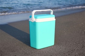 Op naar een frigoboxtoeristentax?